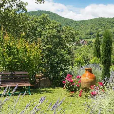 Mille Desideri أنغياري