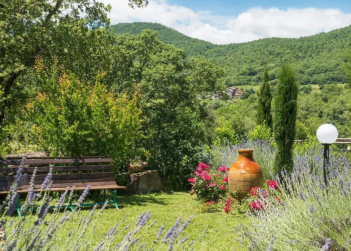 Mille Desideri أنغياري