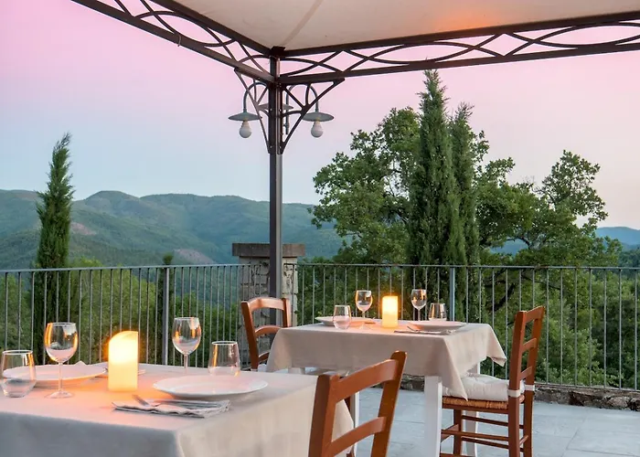 فيلة Mille Desideri